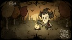 Don’t Starve может выйти на PS3