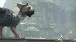 Глава SCEE не уверен в успехе The Last Guardian