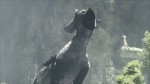 The Last Guardian точно выйдет в 2016. Новые кадры